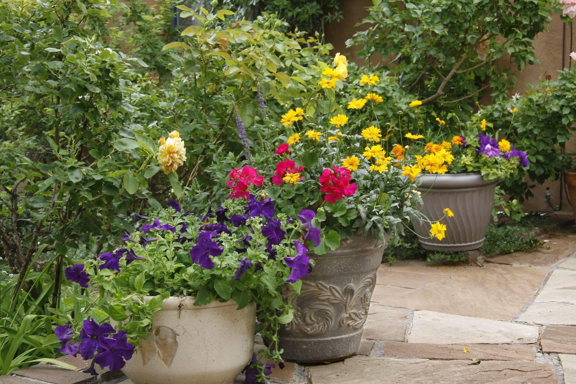 The Madeleine Bed & Breakfast Inn Santa Fe Eksteriør bilde